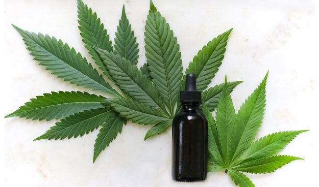 blog-6-25-19kimzy-nanney-b2haCjfk_cM-unsplash marijuana leaves and bottle